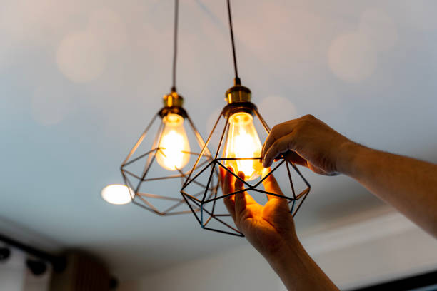 Best Electric Panel Repair  in St Croix Falls, WI